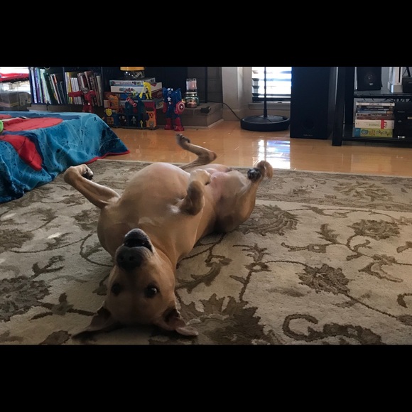 Meet your Posher, Shawna - Picture 1 of 1